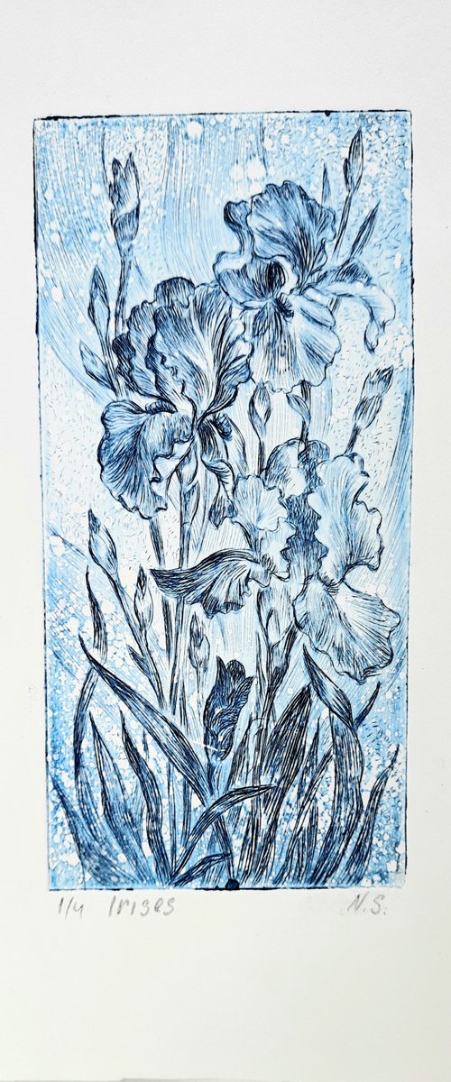 Irises (2021) by Svetlana Norel