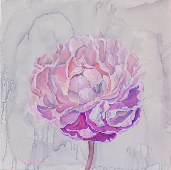 Pink peony on gray