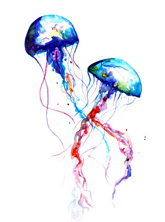 Jellyfish