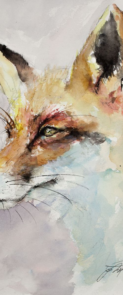 Fox Portrait by Tomasz Mikutel
