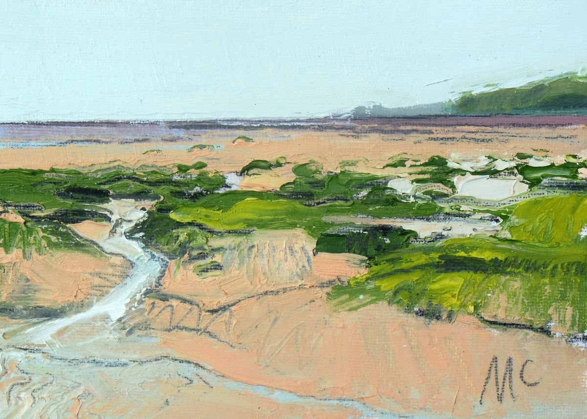Grass and Channels to Headland I by Ben McLeod