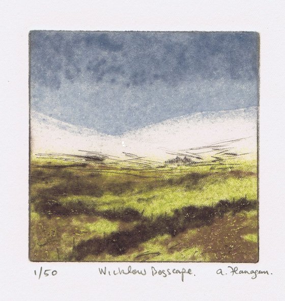 Wicklow Bogscape