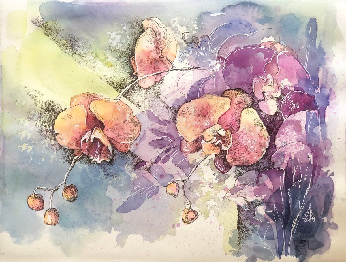 Orchids#5 by Larissa Rogacheva