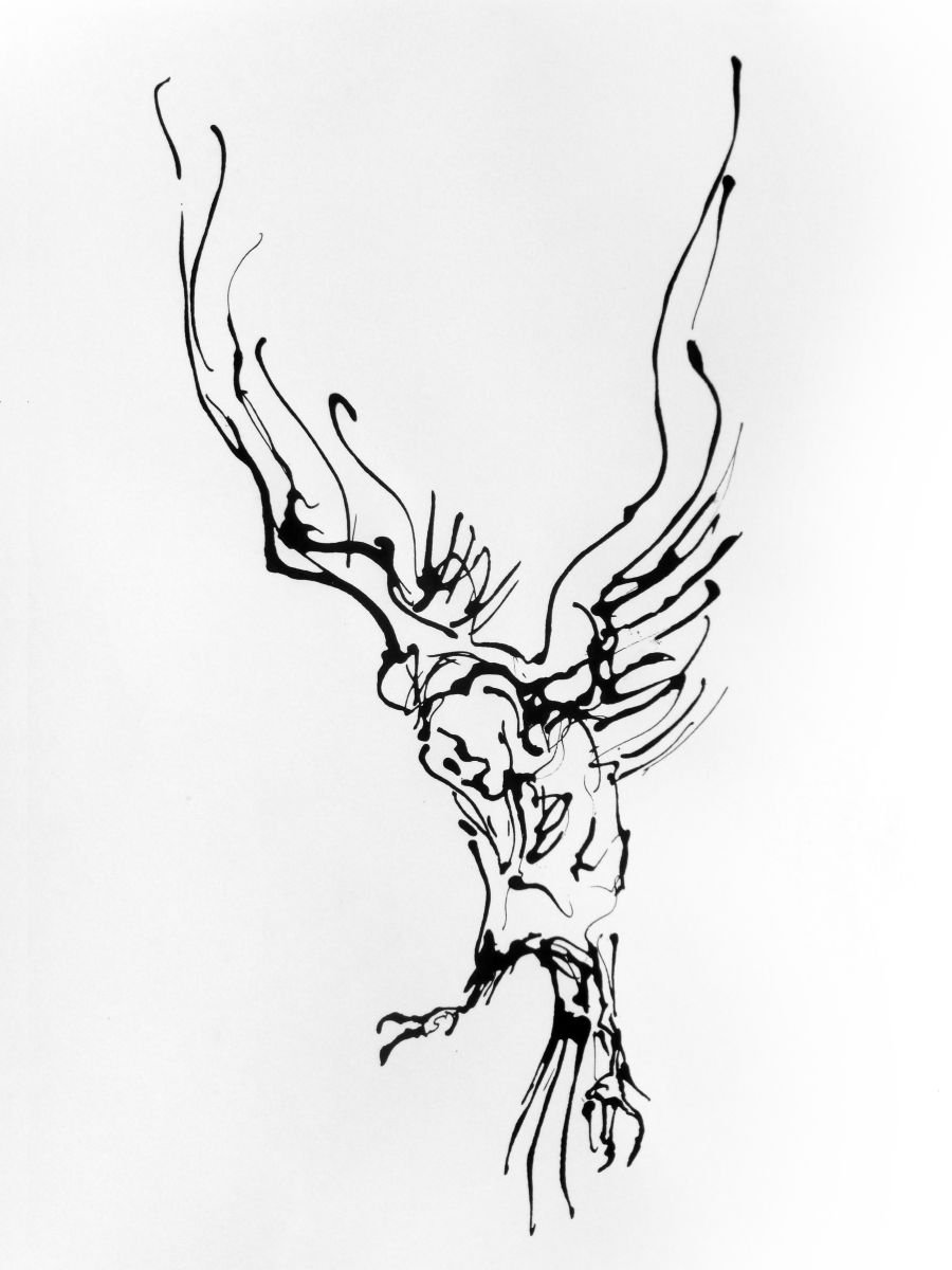 Animal Ink Drawing By John Sharp, 17 X 23, White Raven No.1, Original Artwork
