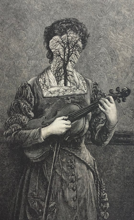 Violin