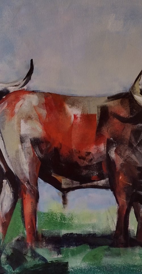 Bulls by Marina Del Pozo