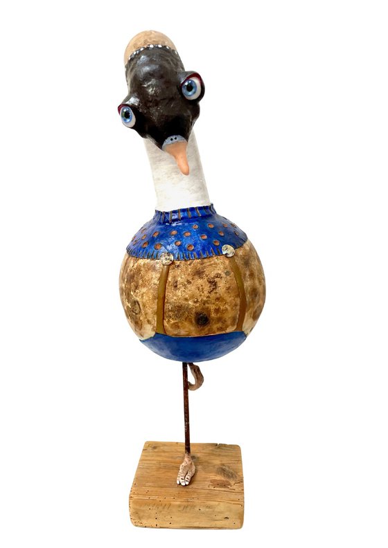 The blue goose