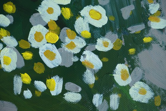 Daisies