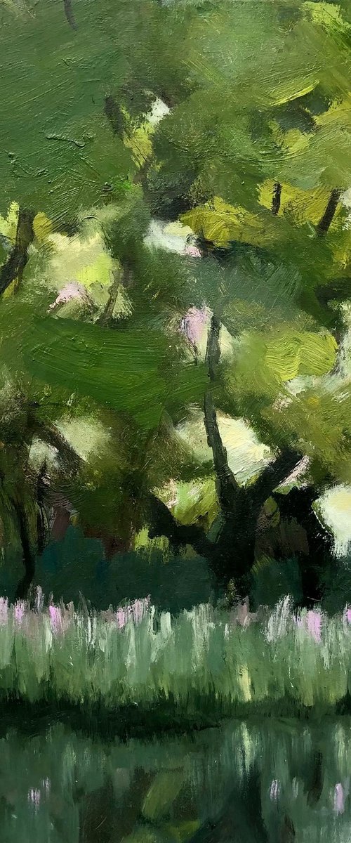 lake reflections by Joanna Farrow