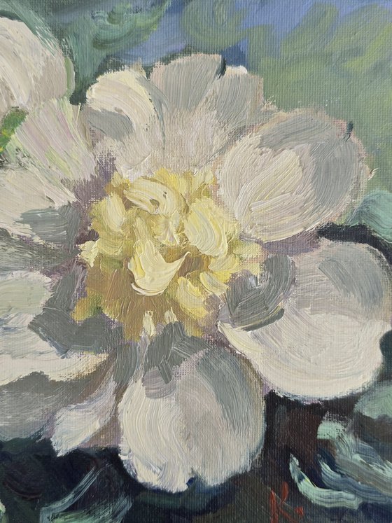 "Peony"