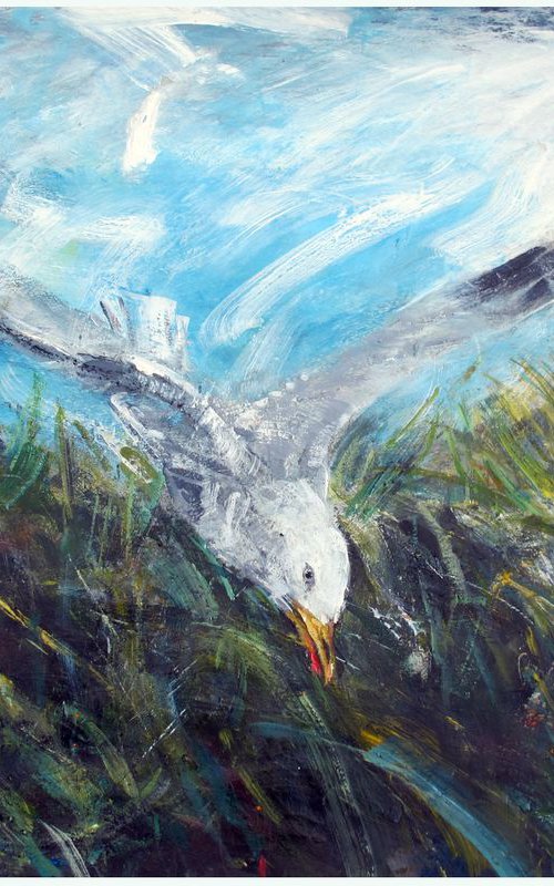 Gull, Camber Sands by John Sharp