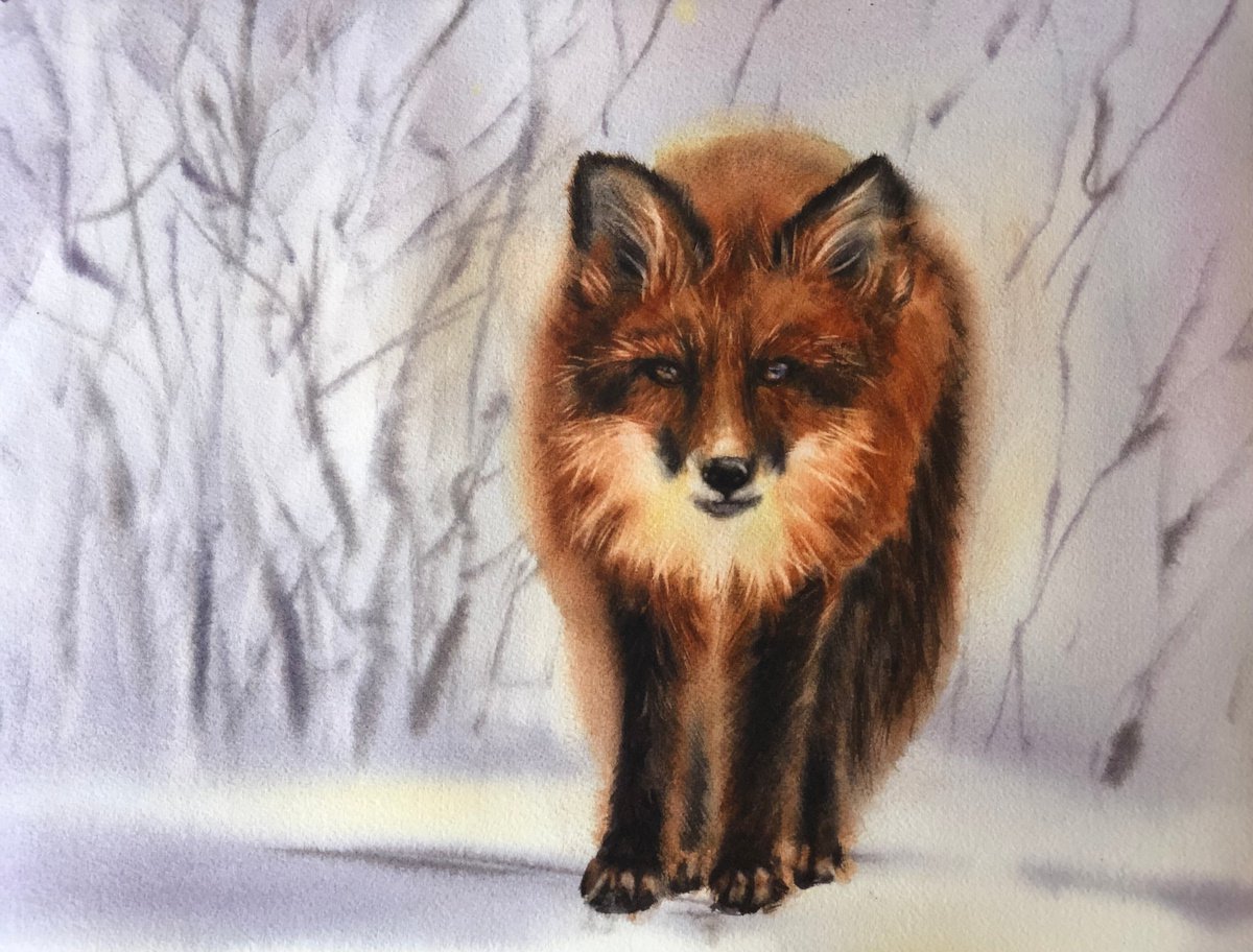 Fox in the snow by Alina Karpova