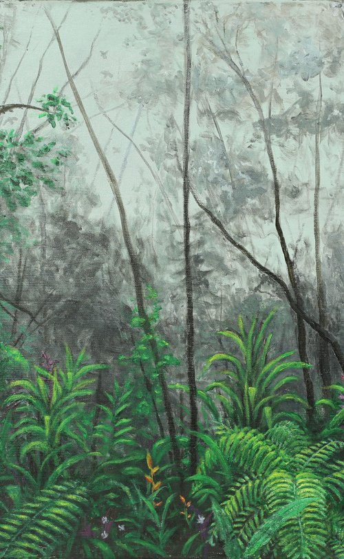 Misty morning in a rainforest. by John Howes