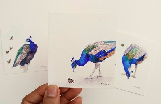 Peacock Miniature Art