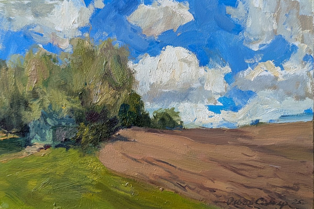 Clous Of April By Olga Samar, 12 X 8, Artwork For Sale On Artfinder