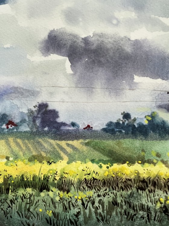 Rapeseed field. Bavaria.