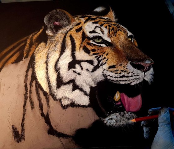 Tiger realism wild animals pastel on pastelmat