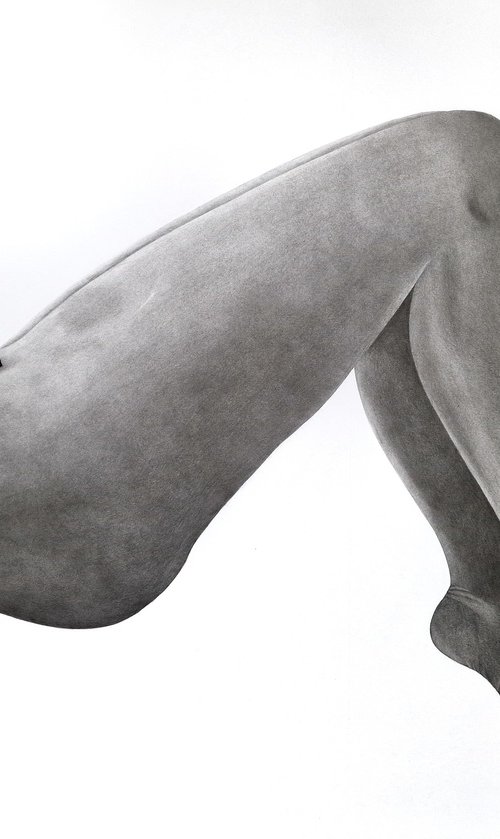 "The Nude Rose" by Kateryna Kostyk