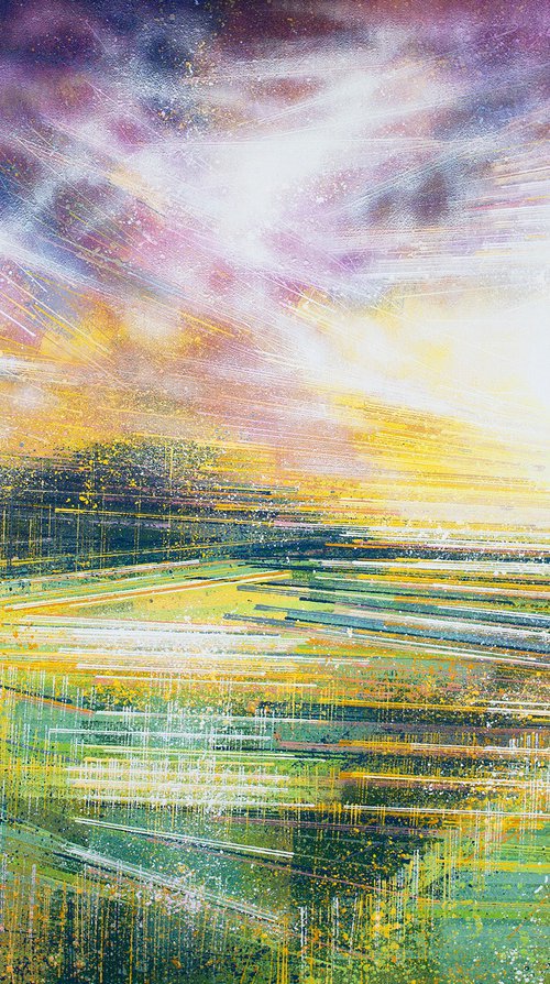 Late Summer Meadow At sunset by Marc Todd
