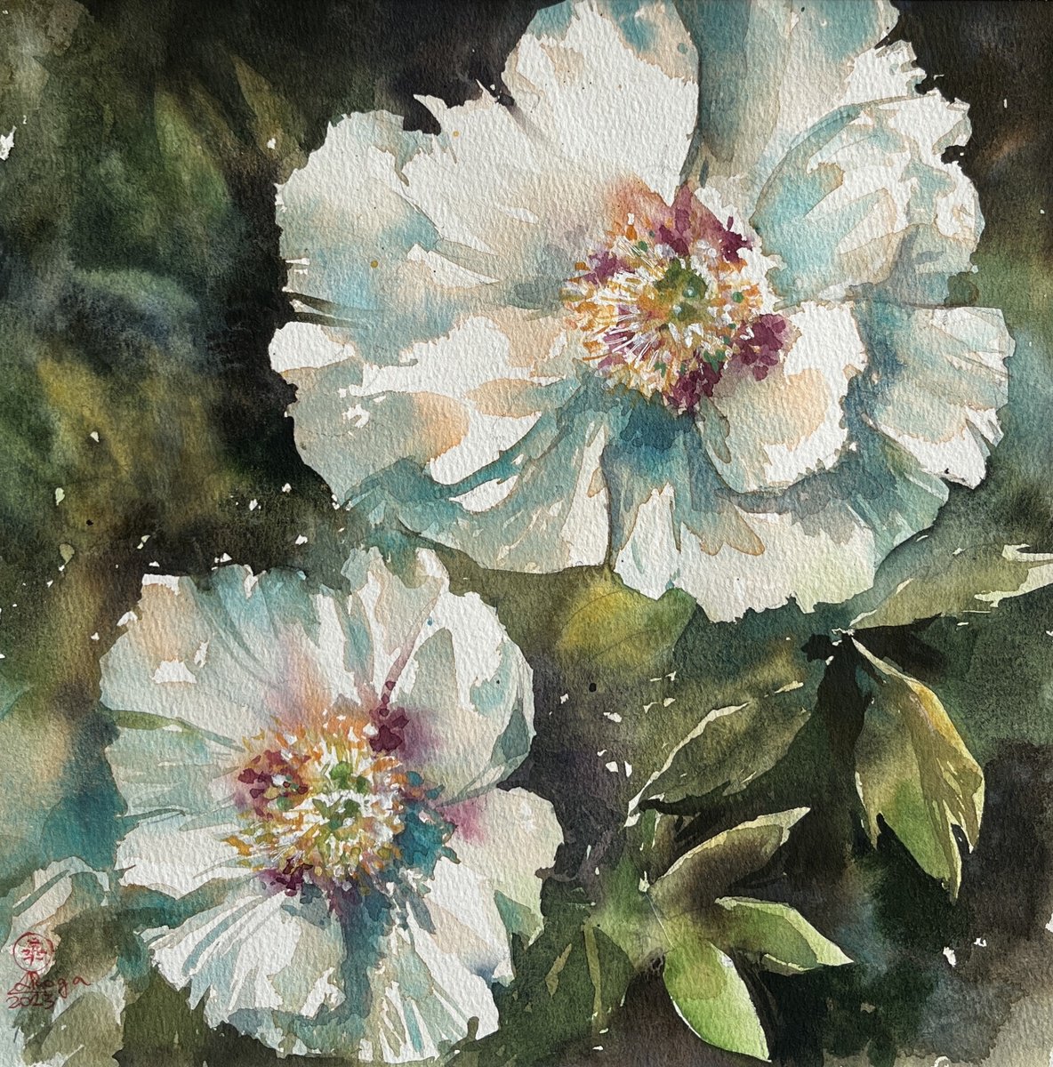 White peony #2 by Larissa Rogacheva