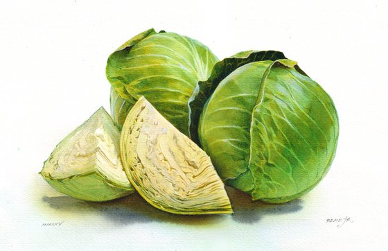 Cabbage