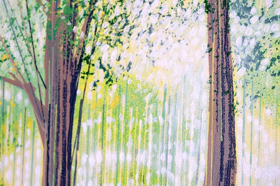 Summer Forest Path