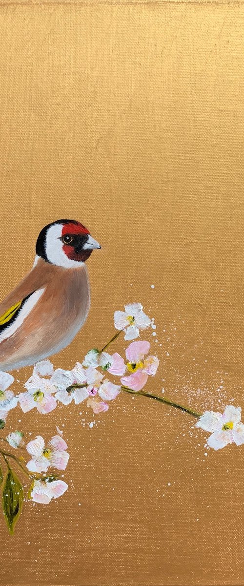 Goldfinch on Cherry Blossom by Laure Bury