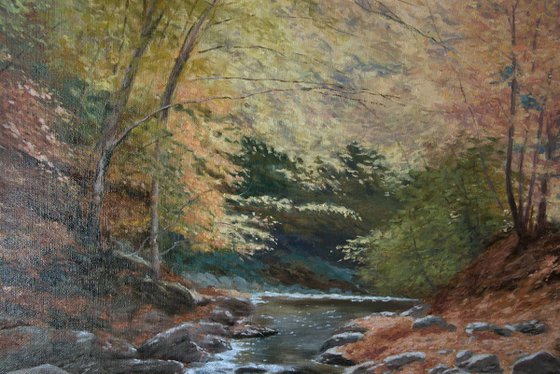 A Wooded River