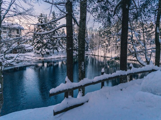 LIGURIAN WINTER