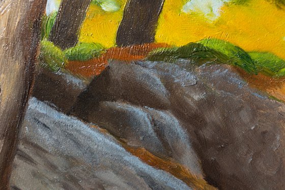 Glacial Boulder