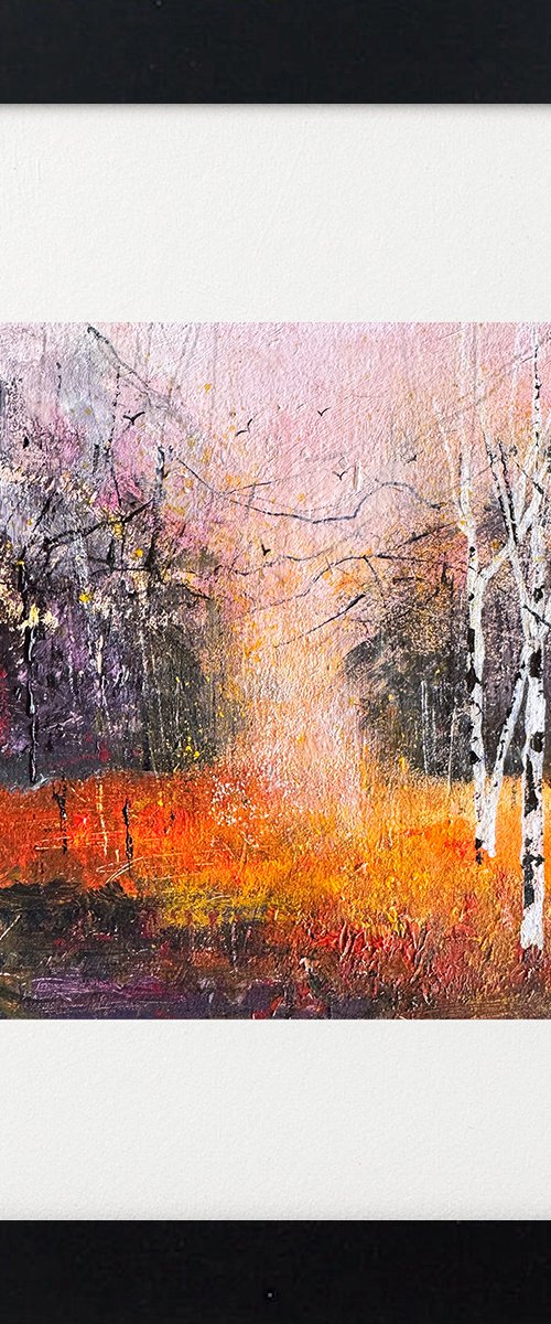 Colours of Autumn, Silver Birches by Teresa Tanner