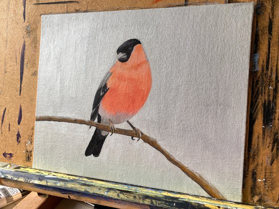 Mister Bullfinch