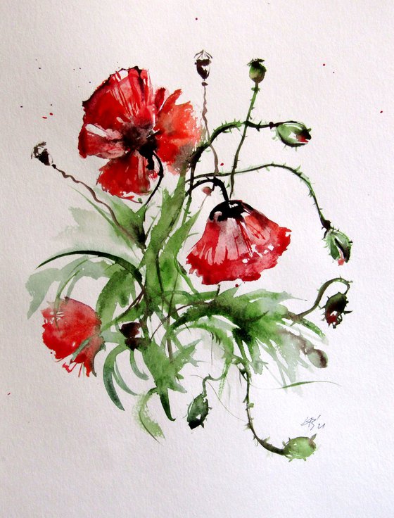 Summer poppies