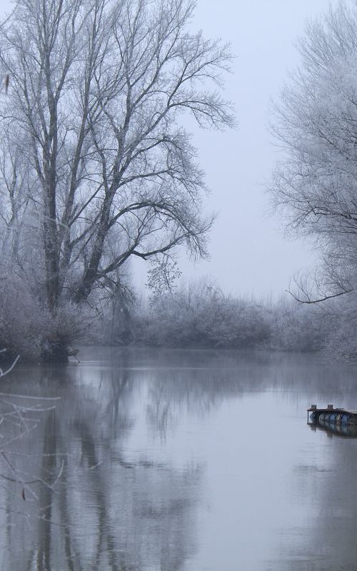 Cold stillness by Sonja  Čvorović