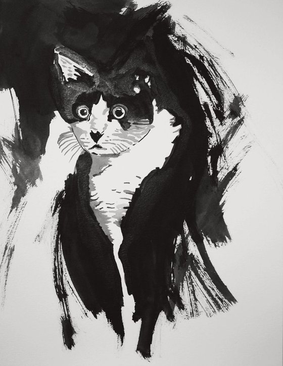 Confused Cat / 35 x 27 cm