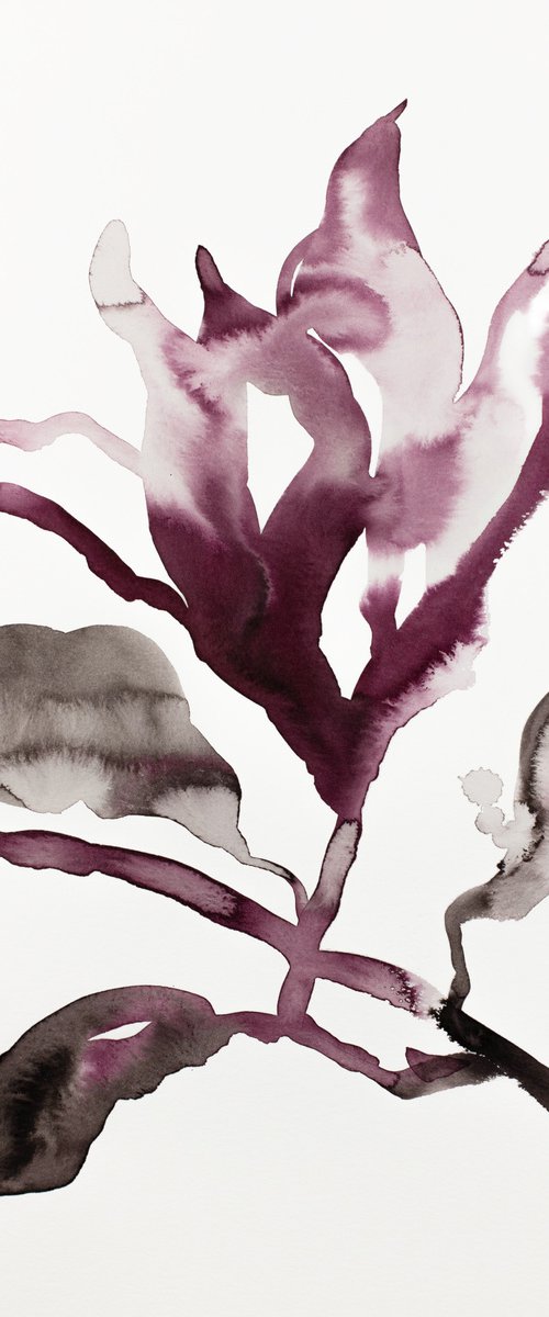 Magnolia No. 41 by Elizabeth Becker