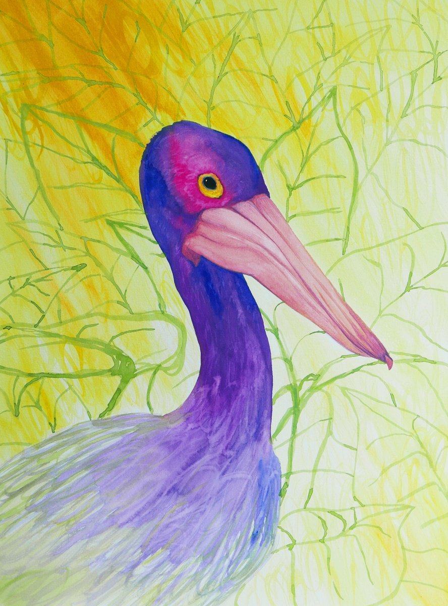 Vibrant pelican by Karina Danylchuk