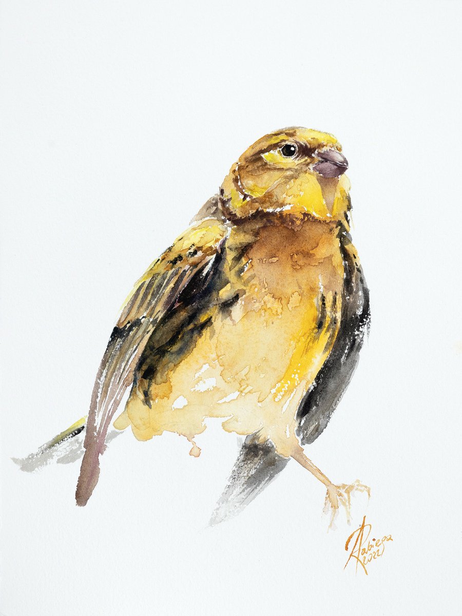 Animal Watercolour By Andrzej Rabiega, 9 X 13, European Serin, Original Artwork