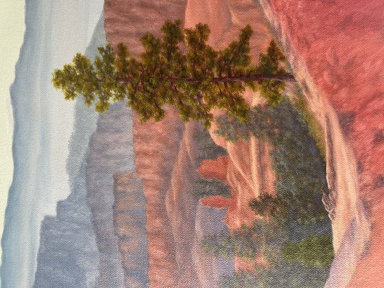 Rose-Tinted Bryce