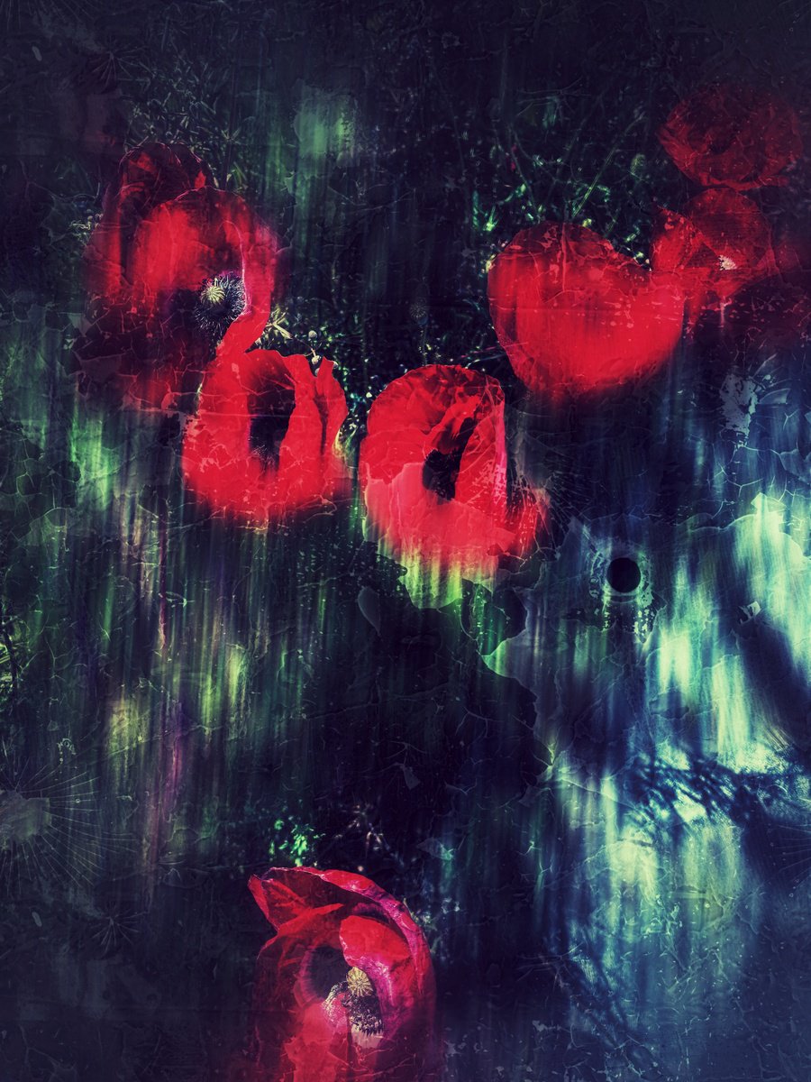 Organic Photograph , Spring Prelude By Nektaria Thalia, 20 X 24, Artwork For Sale On Artfinder