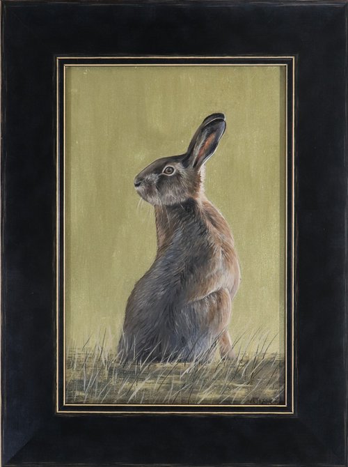 Golden Hare - Portrait I by Alex Jabore