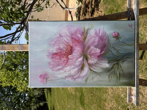 Magic peonies series - Soft Peony of Love