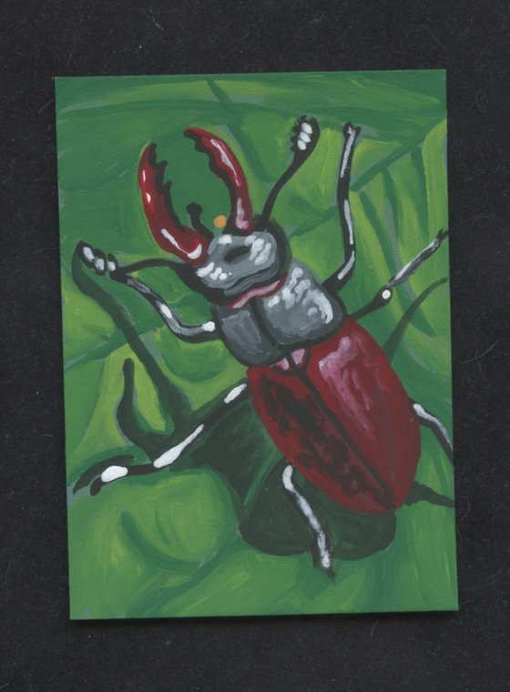 ACEO ATC Original Miniature Painting Stag Beetle Insect Wildlife Art-Carla Smale