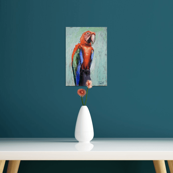 Macaw Parrot