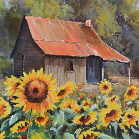 Old cabin with sunflower yard