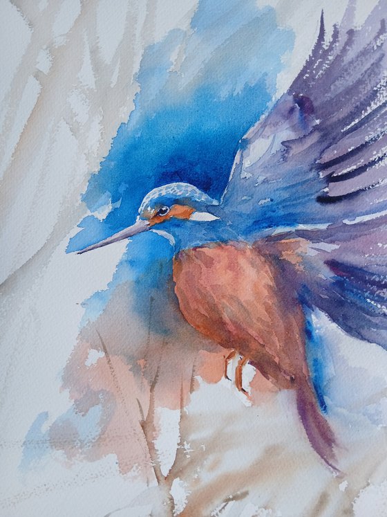 Kingfisher