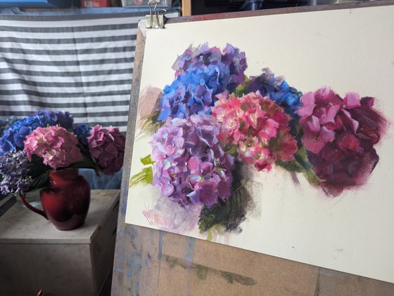 Hydrangeas