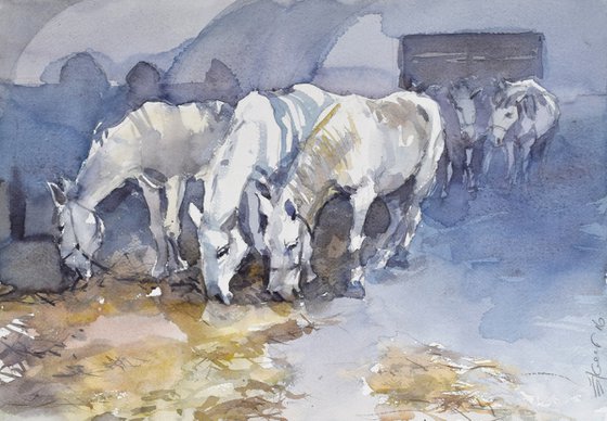 Horses