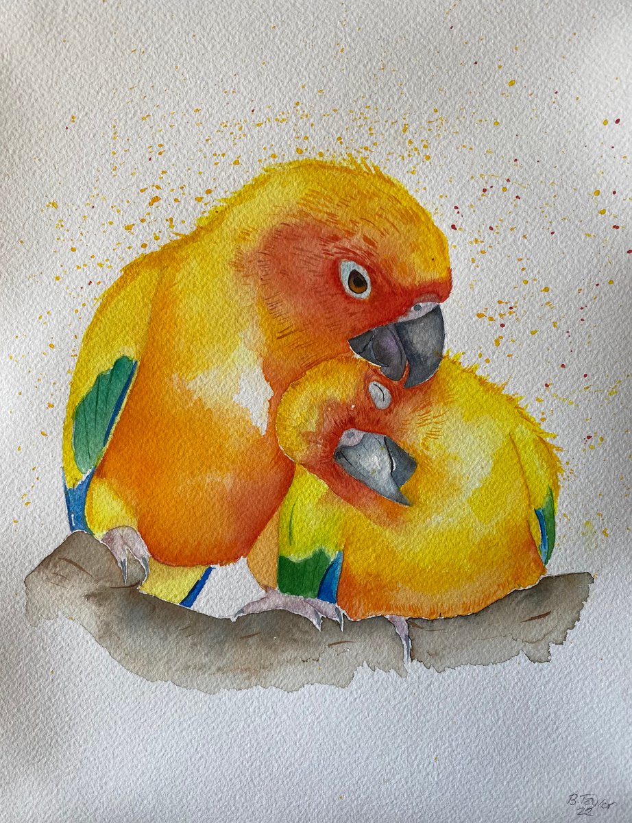 Sun conures no.2 watercolour painting by Bethany Taylor