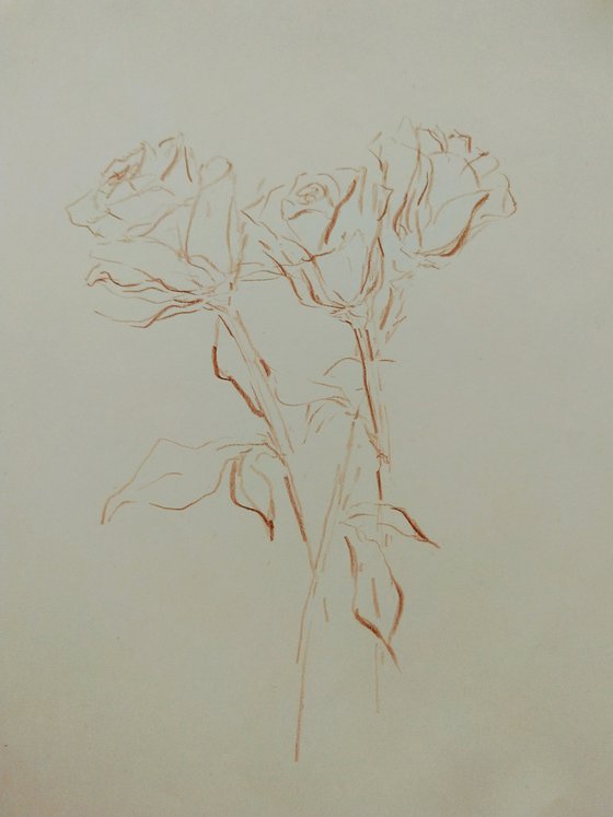 Roses #2. Original pencil drawing